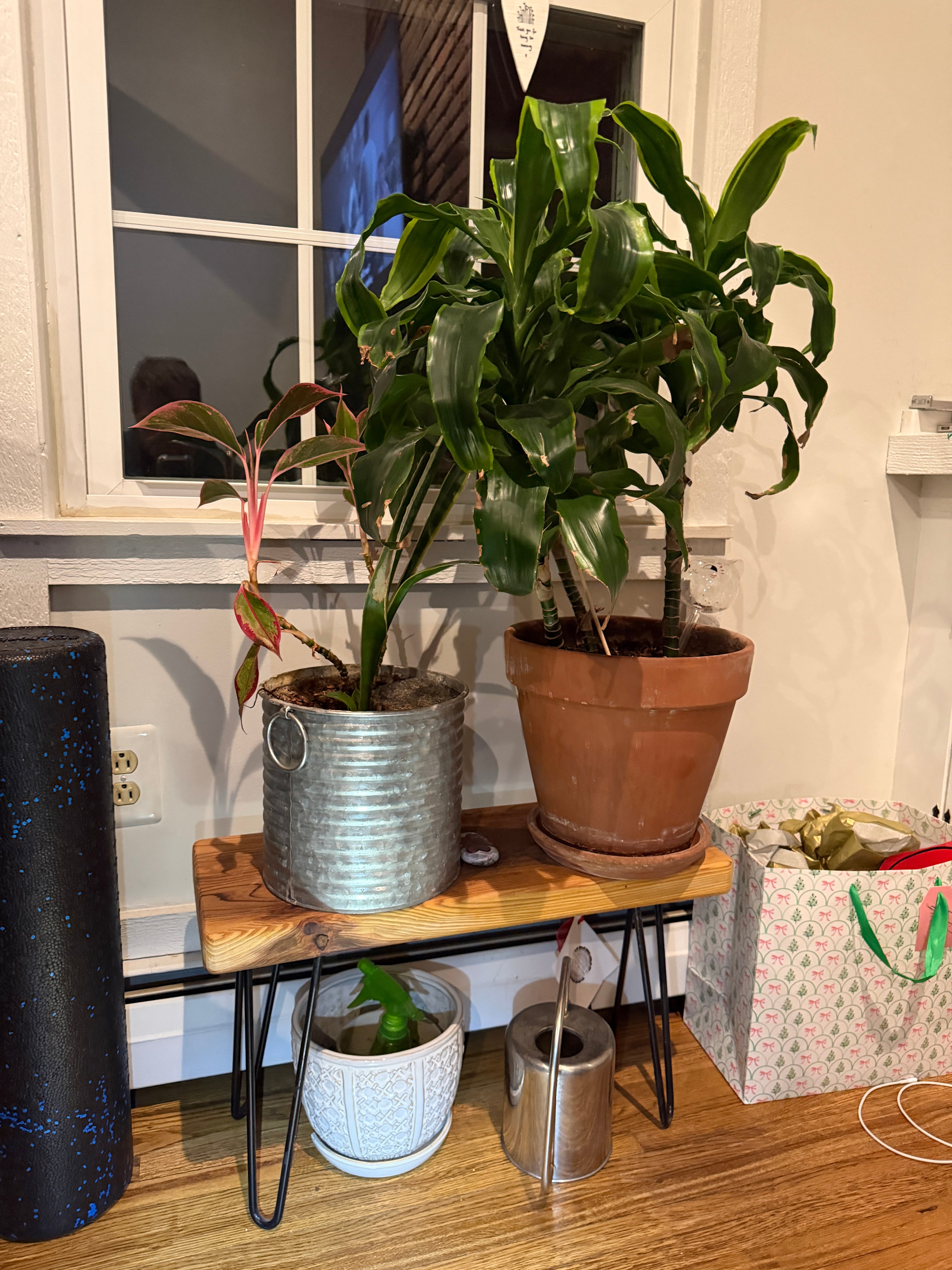 Plant Stand (multiple size options)